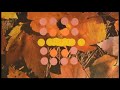 Apollo Sunshine - \"Singing To The Earth\" Apollo Sunshine - \"Singing To The Earth\"