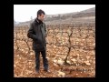Bodegas Riojanas (Cenicero) muestra los terrenos donde se producen sus conocidos vinos