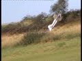 Electric flying
