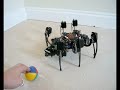 Hexapod Robot Colour BLOB Tracking