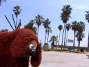 The Skateboarding Dog Gets Served