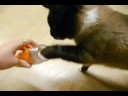 Self Serve Treats!