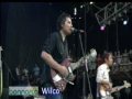 Wilco - Jesus, Etc. @ Bonnaroo