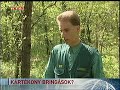 Mérhetetlen károk