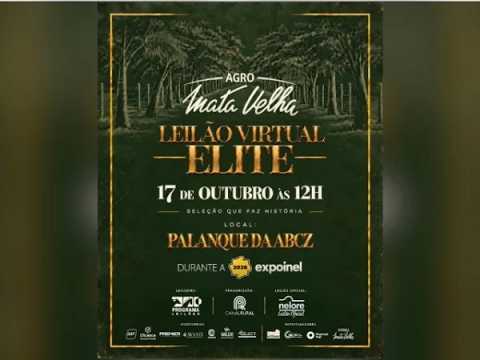 Leilão Virtual Elite Agro Mata Velha