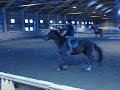 Reija Vähätalo is riding a horse named Wonda, part 2