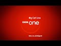 Big Cat Live catches a lion kill live on its web cams - BBC One