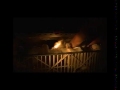 chicken factory - we are not so different