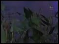 NightFlight the trouble with fred