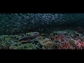 EASYDIVE Mini Prodive HD 