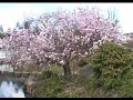 Quiberon, Josselin & Nantes (Breizh / Bretagne / Brittany)