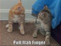 Funny Pictures very funny