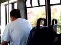 Omnilink-Mini-Bus