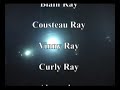Manta Ray Dive in Kona Hawaii with Ocean Eco tours