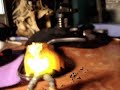 DBZ
