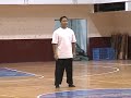 縱鶴拳套路--二步