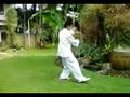 videos de wu taijiquan