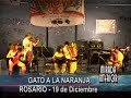 19 DICIEMBRE 2007 GATOA A LA NARANJA