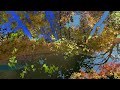 KURD MELODY