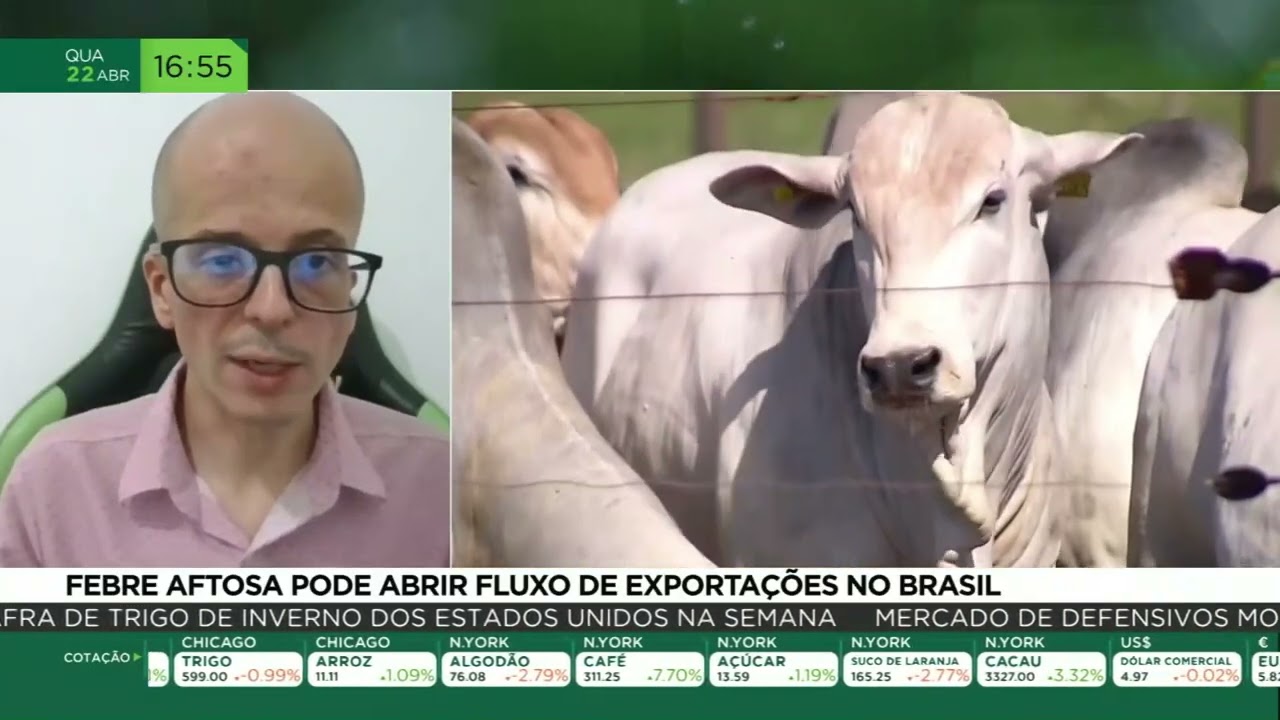 Febre aftosa pode abrir fluxo de exportações no Brasil