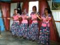 videos de Démonstration de séga accordéon par le groupe Le Solitaire à Mangue sur l'île Rodrigue