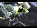 Tying a Dahlberg Diver - Part 4