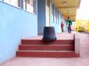 Lelocastor1
