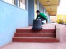 Lelocastor1