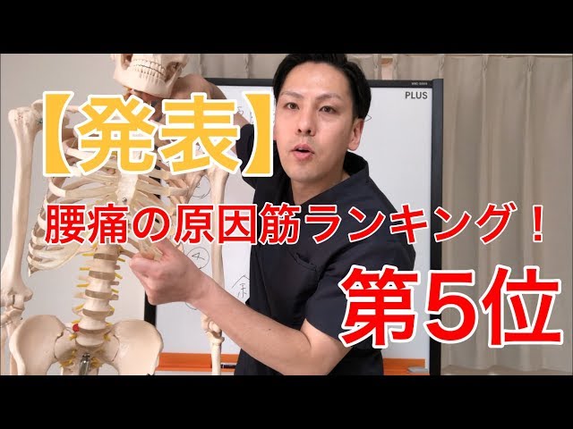 【発表】腰痛の原因筋ランキング！第5位 高槻 腰痛