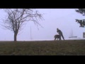    Freerun And Tricks In The Fog   -- With most of the snow gone I figured its time to go out and have some fun. The weather was a bit foggy but still pretty good.

Song: Two Steps From Hell - Deep Seeded