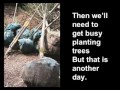 Change the Margins -ppt from 4th Grade