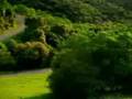 Observa el paisaje con atención