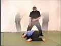 Ninjutsu Moshe Kastiel Bujinkan Taijutsu