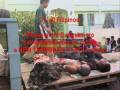 videos de To all Filipinos