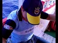 kovaya sığmayan yasemin balığı yasemin balığı erdal çekiyor...