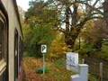 Abfahrt Dampfzug Wernigerode 2