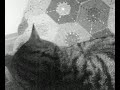 眠りネコ動画