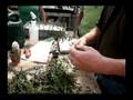 videos de Propagating Juniper Cuttings