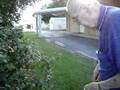 Grandpa picking Blackberies