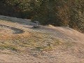e revo on backyard track