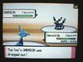 After my humiliating defeat by Junaia, she told me of a gym challenge... Which she was a gym leader of. I vowed to get revenge on her... And signed up and got that very same revenge today...Edit: The round she won is also on youtube here. I forgot which number, you have to do some browsing. And it wasn't that team. It was another.