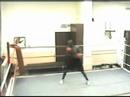 kickfit with steve \"fitness activator\" kickfit with steve \"fitness activator\"