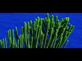 FR001 HD 4K RED ONE - FRANCE TRAVEL GUIDE Provence Alpes Maritimes