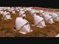 england,new zeland and gallipoli war