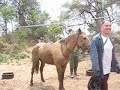 botswana-macatoo-fly-camp.html
