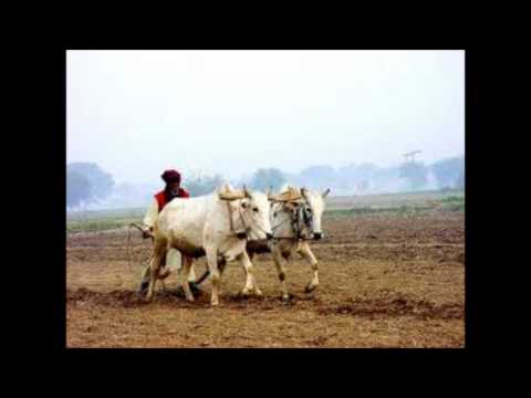 Great Punjabi songs 3.- Naale lammi te naale kali - film Lachchi 1949