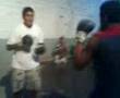 peleas callejeras sangrientas 