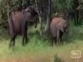 [Video]