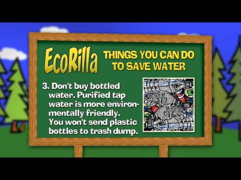 how to help environment