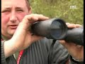 Dzika krowa